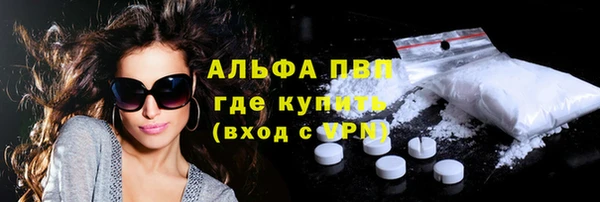 ешки Алексин
