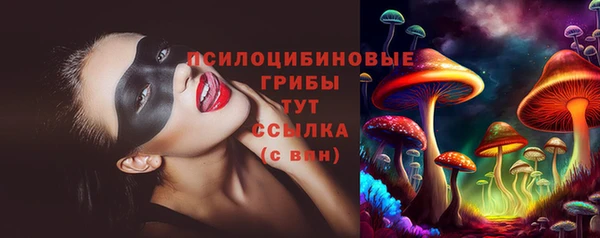 ешки Алексин