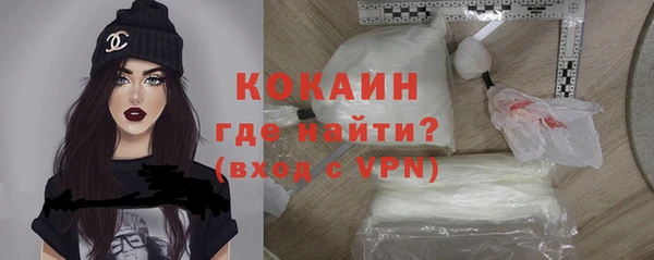 ешки Алексин