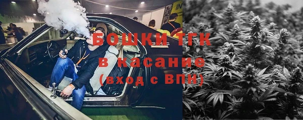 ешки Алексин