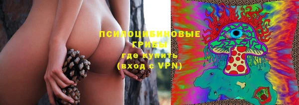 дживик Алексеевка