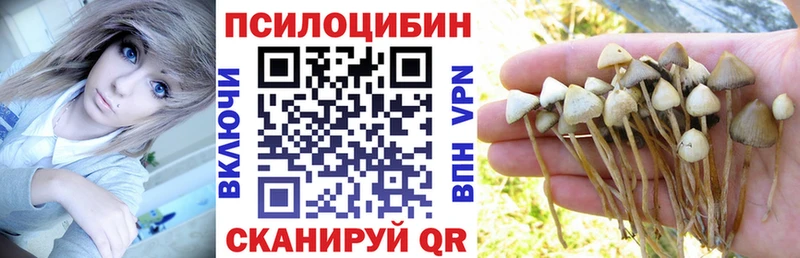 ОМГ ОМГ ссылки  Безенчук  Галлюциногенные грибы мухоморы 
